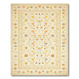 Ivory Floral Bordered Area Rug