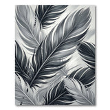 Black White Feather Abstract Area Rug