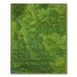 Lush Moss Green Shag Area Rug