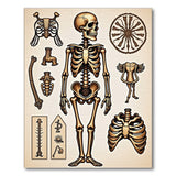 Vintage Skeleton Anatomy Area Rug