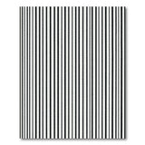 Bold Black White Vertical Stripe No. 17 Area Rug