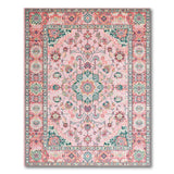 Multi-color and Patterns Blush Pink Persian Medallion Area Rug