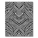 Bold Geometric Zebra Stripe Black White Area Rug