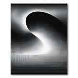 Modern Halftone Curves Black White Area Rug