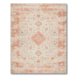 Distressed Vintage Orange Medallion Area Rug
