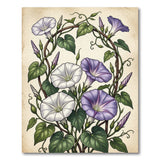 Twining Morning Glory Vine Floral Rug