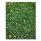 Lush Green Grass Area Rug with Autumn Leaves