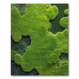 Lush Green Moss Abstract Area Rug