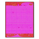 Vibrant Pink Dotted Area Rug with Red Border