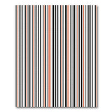 Bold Black Orange Vertical Stripe Area Rug
