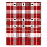 Red Buffalo Check Plaid Rug with Black Stars