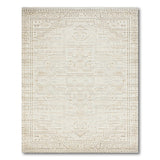 Distressed Cream Beige Area Rug
