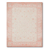 Coral Pink Border Persian Area Rug