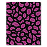 Vibrant Pink Geometric Abstract Pink Area Rug