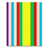 Vibrant Multi-Color Vertical Stripe Multi-color and Patterns Area Rug