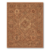 Distressed Vintage Distressed Vintage Orange Area Rug