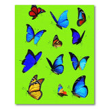 Vibrant Butterflies Multi-Color Area Rug