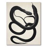 Black Coiled Snake Area Rug