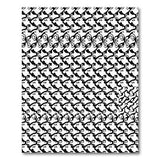 Black White Geometric Optical Illusion Area Rug