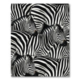 Black White Zebra Herd Area Rug