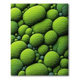 Lush Green Moss Orb Area Rug