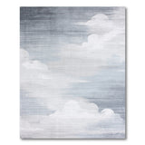 Serene Grey Ombre Cloud Area Rug