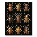 ODIKA Vintage Beetle Specimen Print Washable Low Pile Area Rug