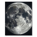 Moon Crater Black White Area Rug