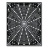 Gothic Spider Web Black White Area Rug