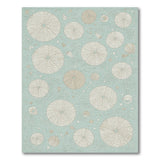 Teal Coastal Sand Dollar Area Rug