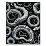 Coiled White Snakes Black White Area Rug