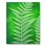 Lush White Fern Fronds on Textured Green Area Rug