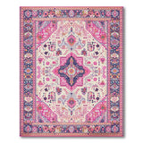 Vibrant Pink Persian Medallion Multi-color and Patterns Area Rug
