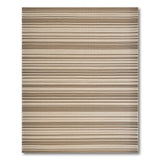 Beige Brown Striped Woven Coastal Rug