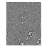 Hypnotic Wavy Black White Geometric Area Rug