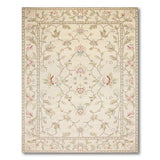 Ivory Floral Vine Border Area Rug