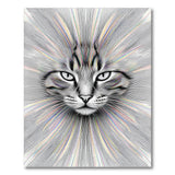 Black White Cat Burst Area Rug