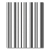 Bold Vertical Black White Striped Area Rug