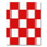 Red Rustic Farmhouse Bold Red Gingham Checkered Area Rug