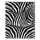 Bold Black White Striped Zebra Texture Rug