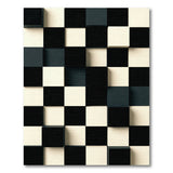 3D Checkerboard Black White Area Rug