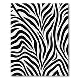 Bold Zebra Stripe Area Rug - Black White