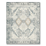 Grey Distressed Southwestern Area Rug