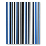 Bold Blue Black Vertical Striped Area Rug