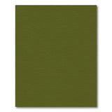 Olive Green Solid Area Rug