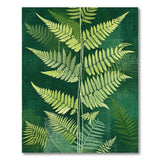 Emerald Fern Lush Area Rug