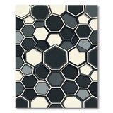 Modern Hexagon Black White Area Rug