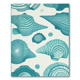 Teal Seashell Coastal Area Rug