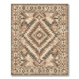 Brown Tan Southwestern Distressed Area Rug