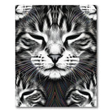 Black and White Abstract Cat Portrait Black White Area Rug